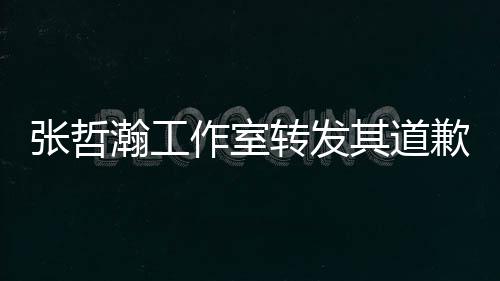利益一切明其道歉声瀚工张哲作室转发祖国高于